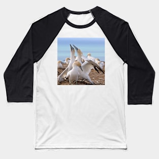 Gannets Baseball T-Shirt